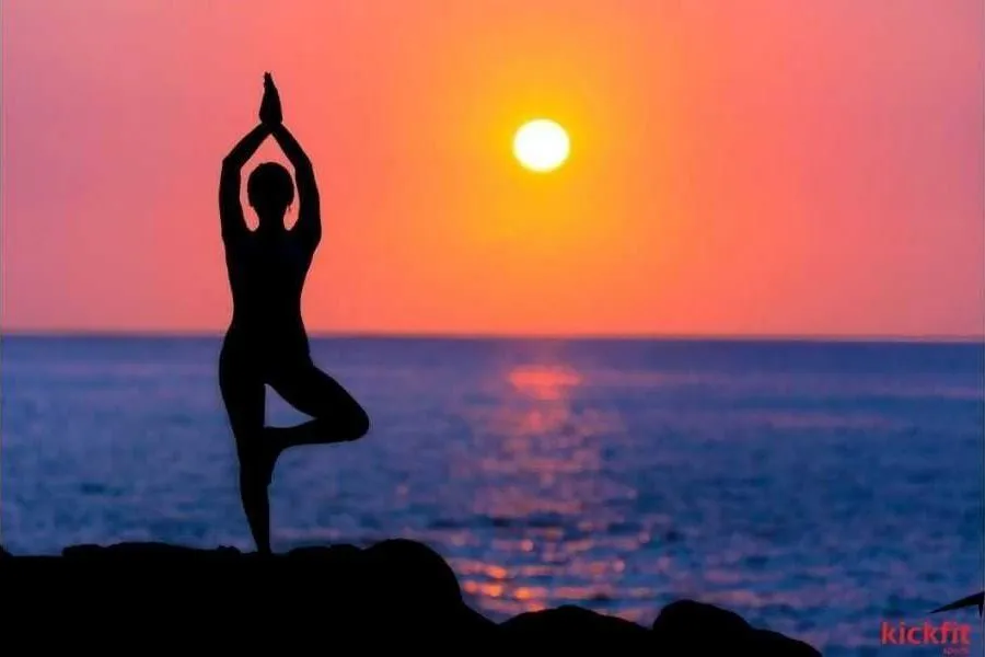 Yoga Cơ Bản: Những Tư Thế Bạn Cần Biết Trước Khi Theo Đuổi Yoga
