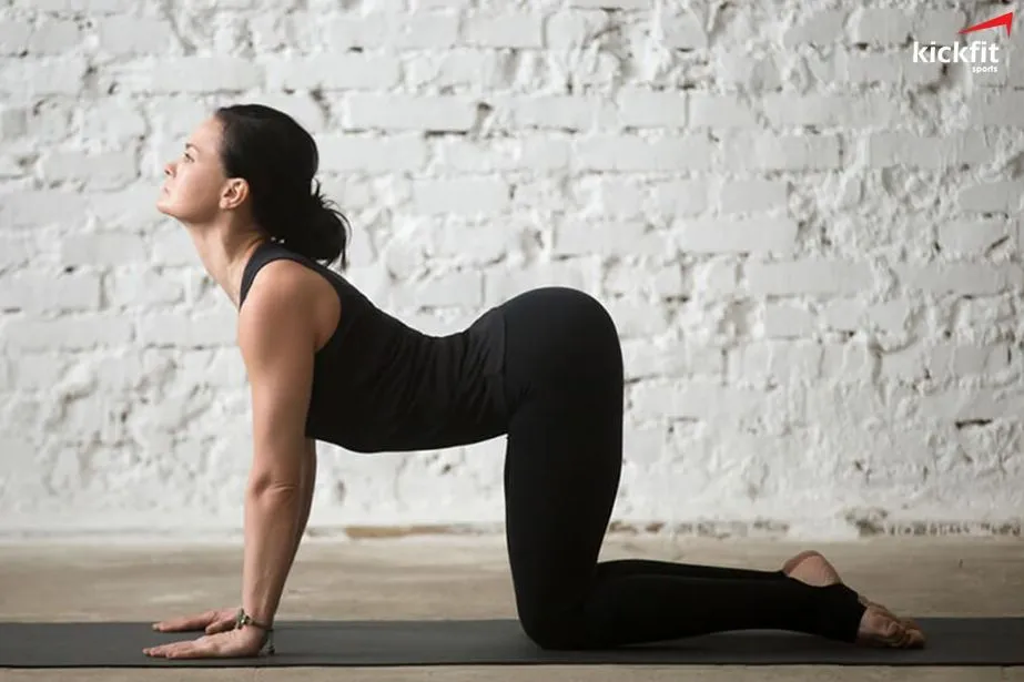 Yoga dành cho người đau lưng: Bài tập nào mới thực sự hiệu quả?