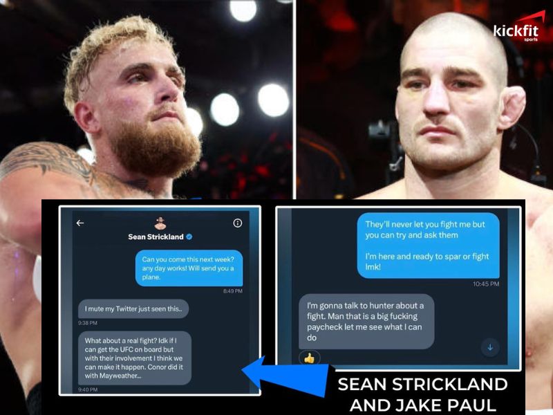 Jake Paul tiết lộ tin nhắn với Sean Strickland từ chối so tài