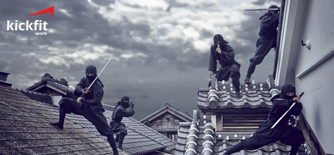 Ninja thực hiện các vụ xâm nhập để phá hoại hoặc ám sát