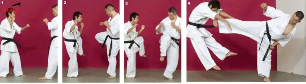 don-da-low-kick-karate-kyokushin