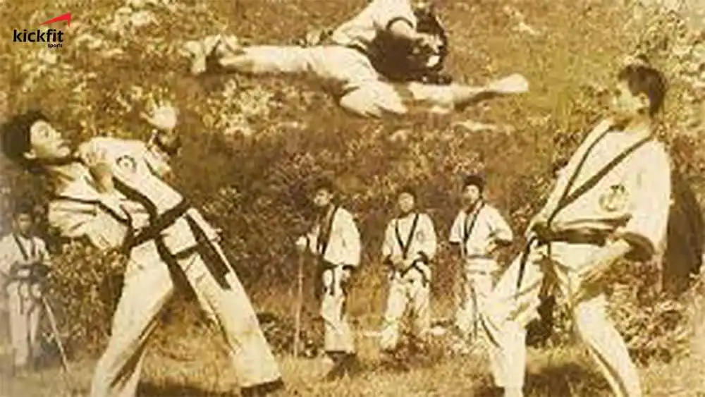 taekwondo-thoi-co-dai