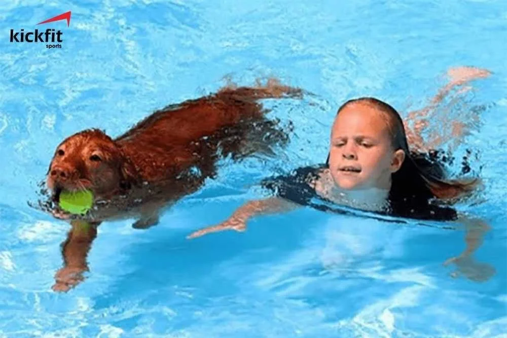 Bơi chó là gì? Những lưu ý khi cho trẻ học bơi chó