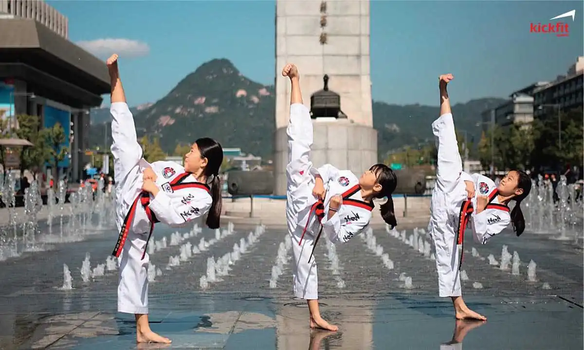 Kang-Seok-han-duoc-bau-lam-chu-tich-Taekwondo-Seoul