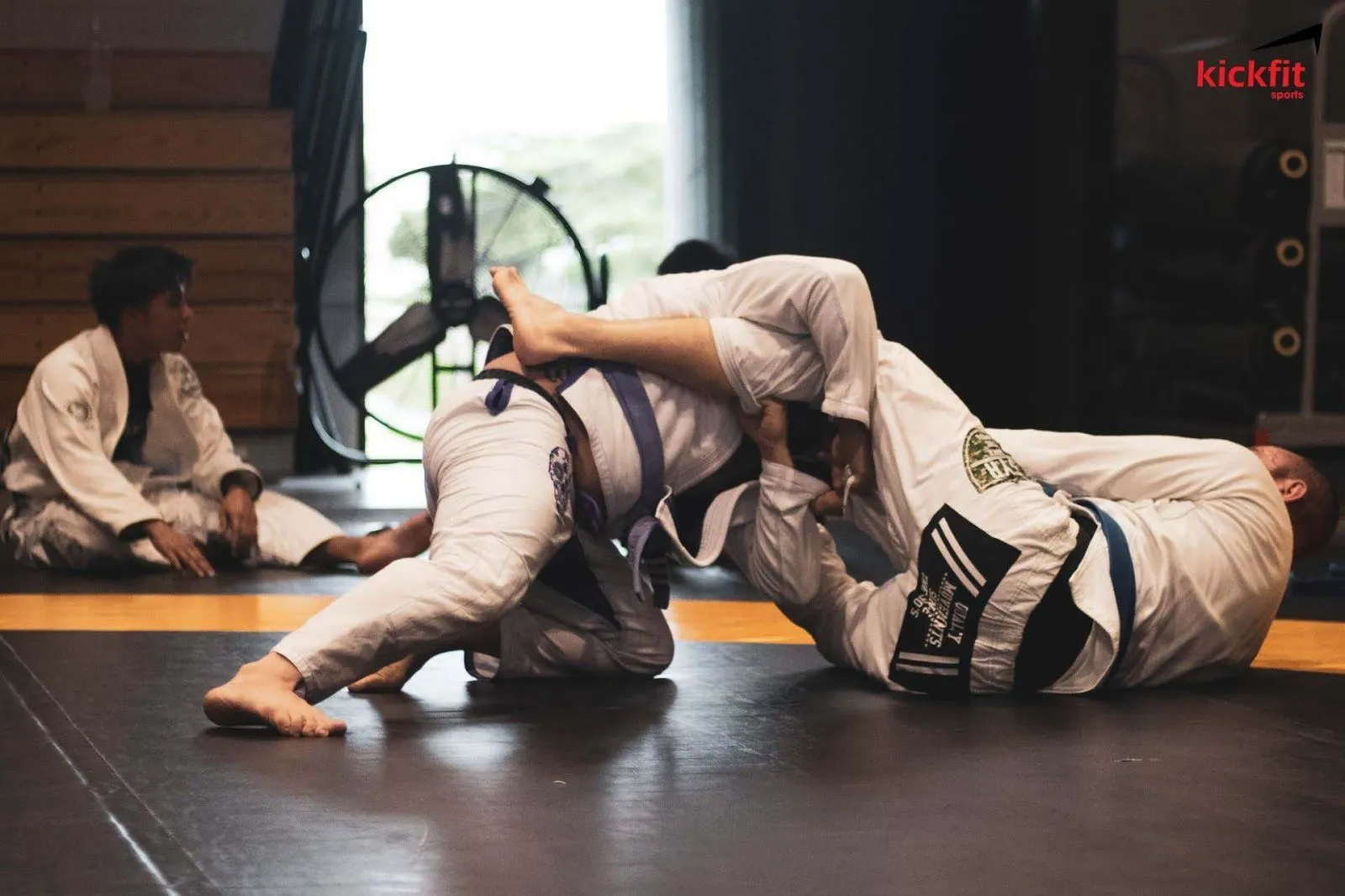 Tăng cường “cơ bắp” tim mạch với môn võ Judo và Jiu Jitsu