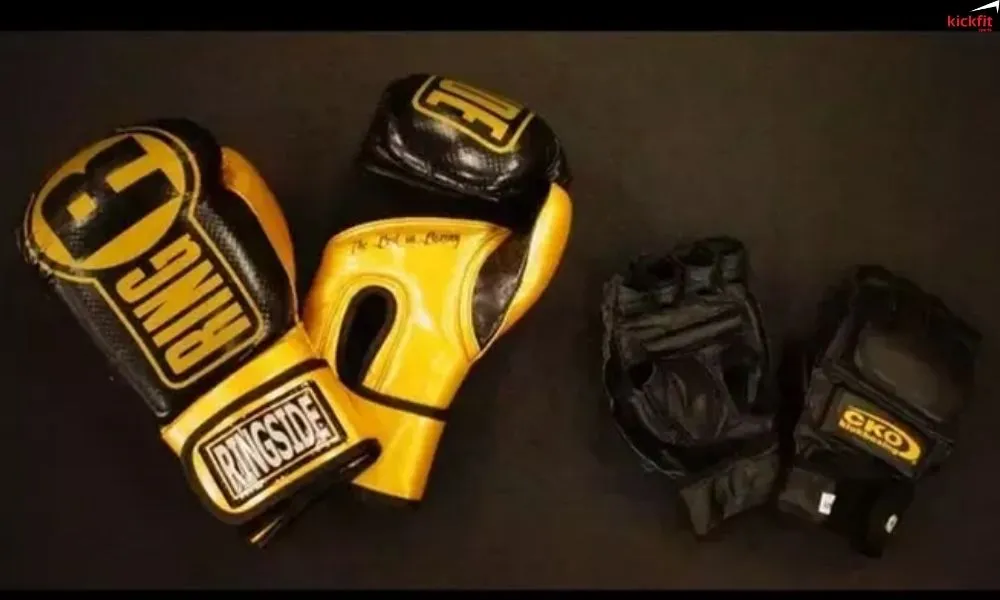 khac-nhau-giua-Boxing-va-MMA