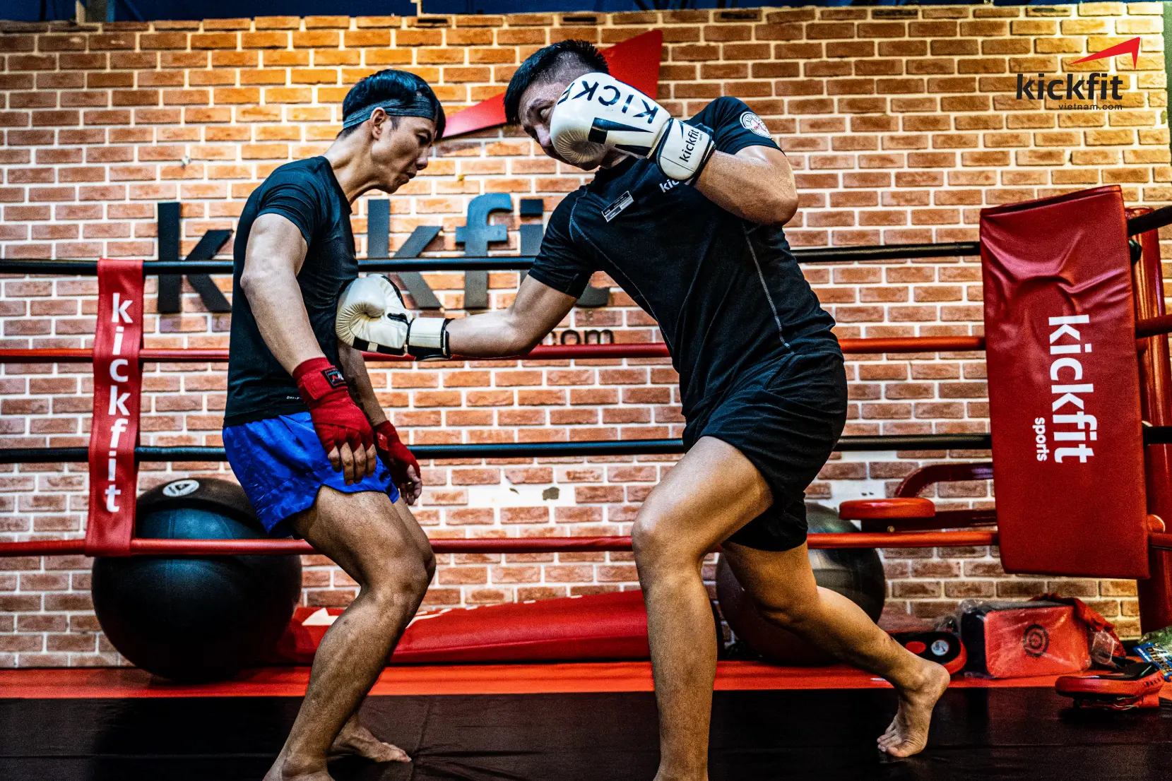 Kickboxing với MMA – Bạn đã biết cái nào tốt hơn để tự vệ?