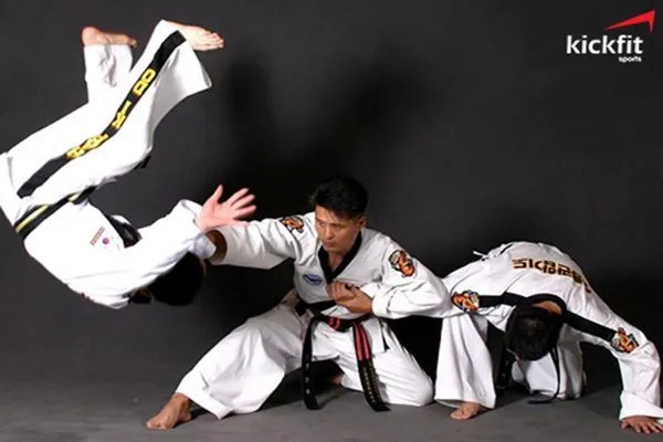 Hapkido – niềm hãnh diện của người dân yêu võ thuật Hàn Quốc