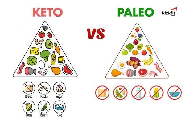 Keto và Paleo: Đâu là chế độ ăn kiêng tốt hơn cho sức khoẻ và giảm cân?