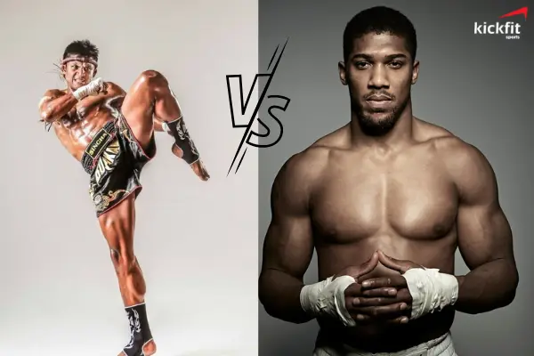 Boxing và Muay Thái có sự khác biệt lớn về nguồn gốc, kỹ thuật và luật trong thi đấu