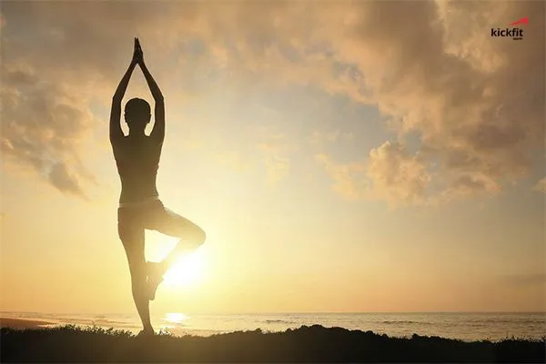 Khóa học Yoga cơ bản cho người mới bắt đầu