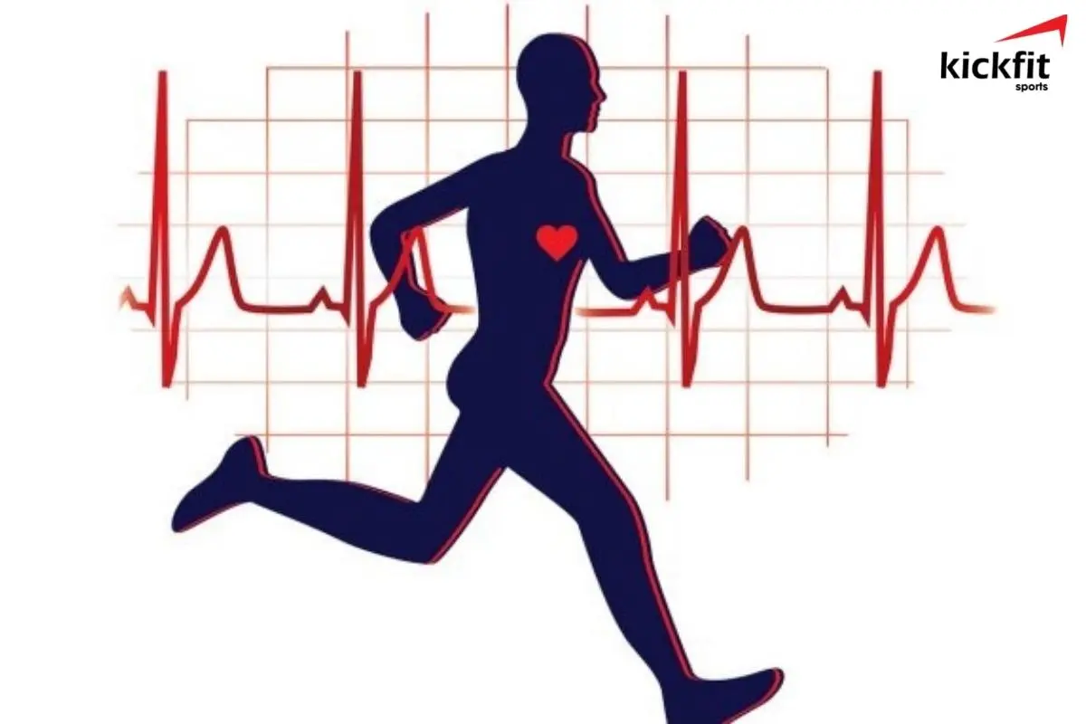 Chức năng tim mạch được tăng cường nếu chạy bộ thường xuyên