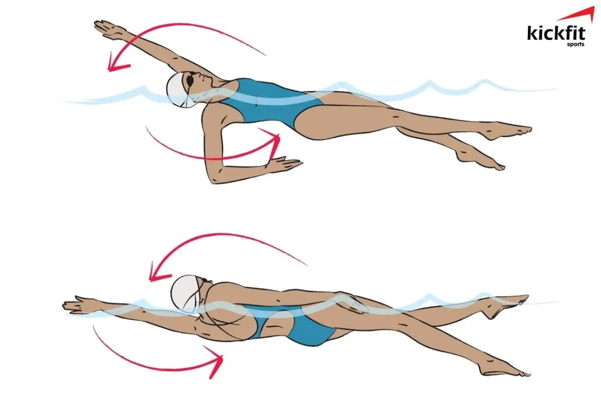 Kỹ thuật tay khi bơi ngửa