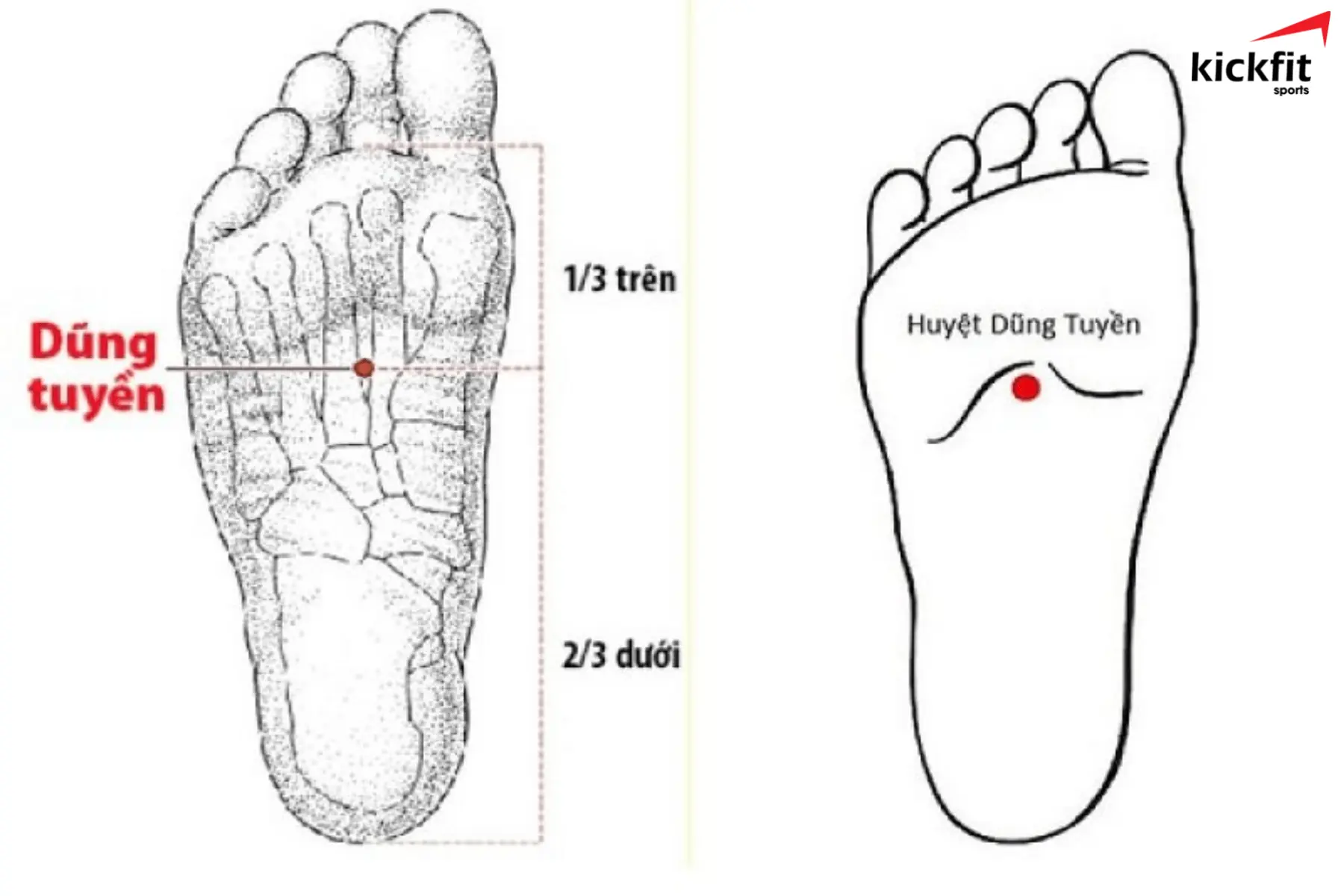 Dũng Tuyền là huyệt quan trọng nằm chính giữa lòng bàn chân
