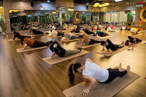 Học yoga tại Kickfit Sports để tập luyện cùng đội nhóm và huấn luyện viên chuyên nghiệp