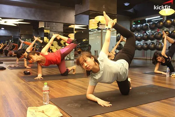 Tập yoga có giảm mỡ bụng như lời đồn hay không?