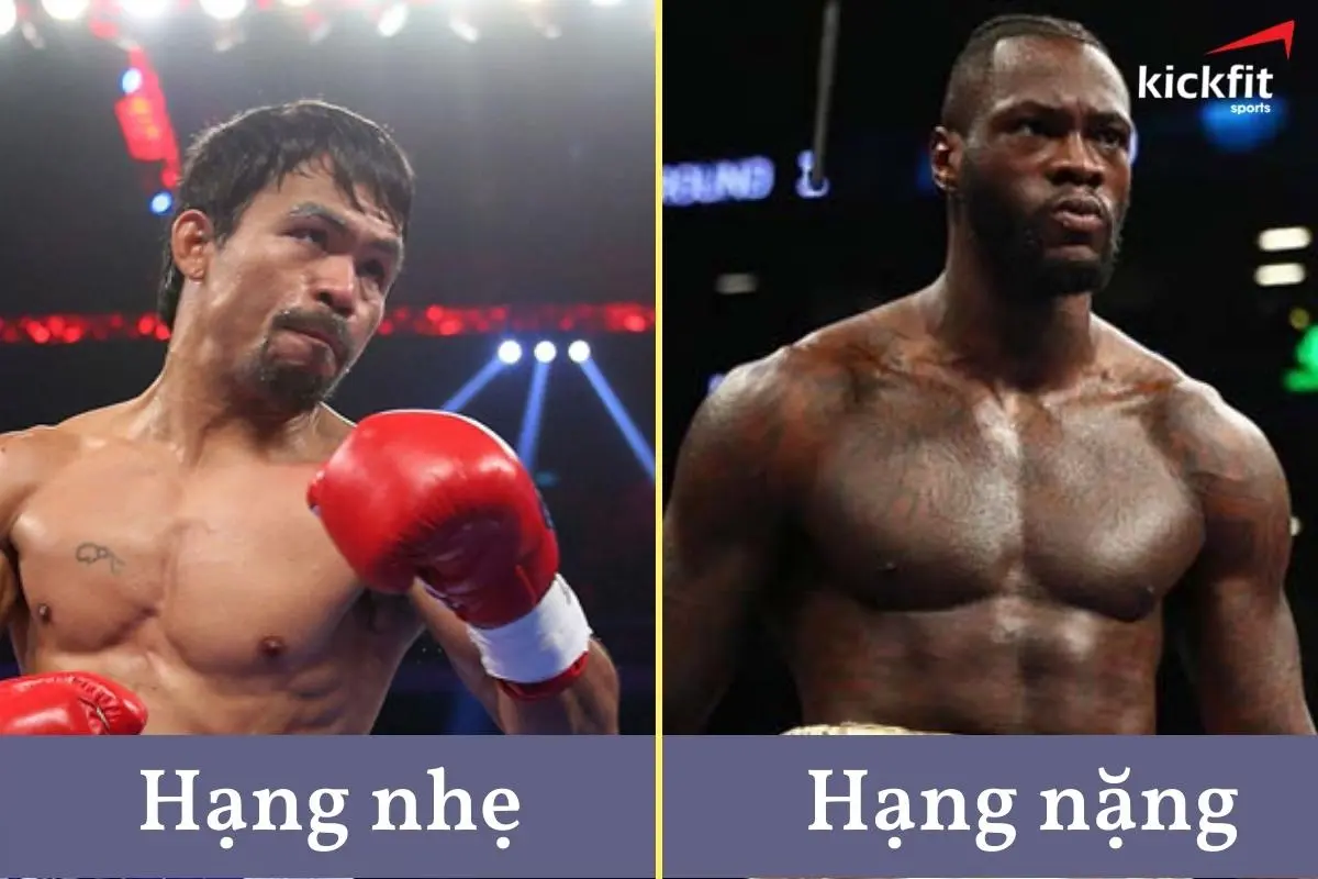 Boxing được chia làm nhiều hạng cân khác nhau