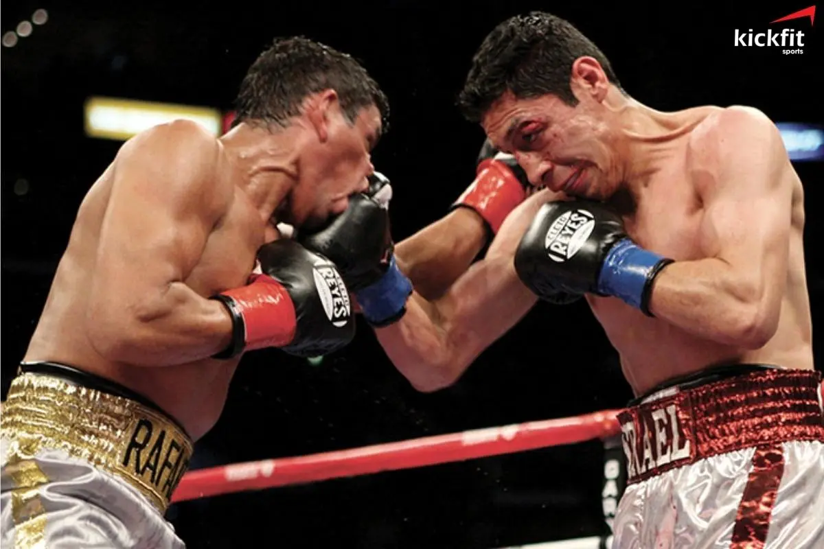 Israel Vazquez vs Rafael Marquez là một trong những cuộc đối đầu căng thẳng nhất