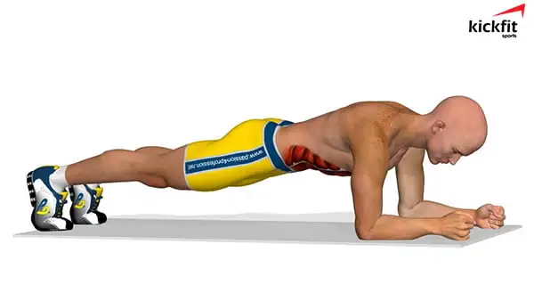 Bài tập gym không cần dụng cụ - Bài tập Plank