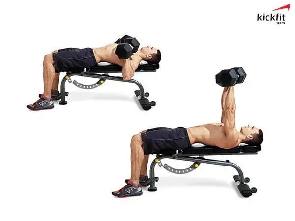 Phương pháp tập gym hiệu quả - Incline Dumbbell Bench Press