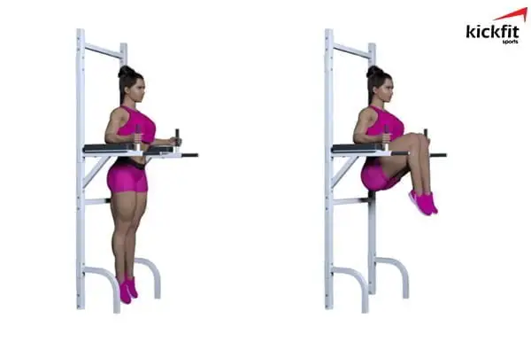 Bài tập Roman Chair Leg Raises giúp tăng chiều cao hiệu quả