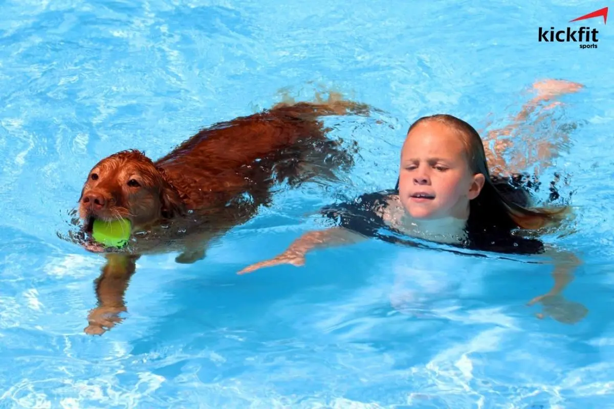 Bơi chó là kiểu bơi đơn giản nhất đối với hầu hết mọi người